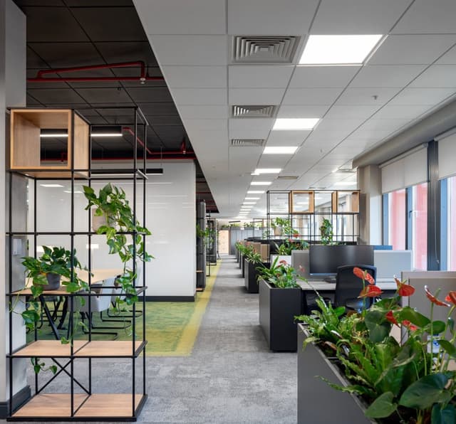biophilic-office-design-for-a-healthier-workspace